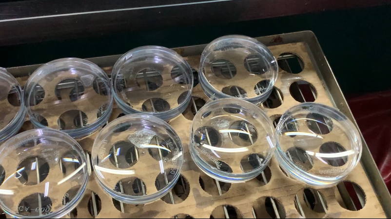 emc易倍·(中国)体育官方网站-EMC SPORTS