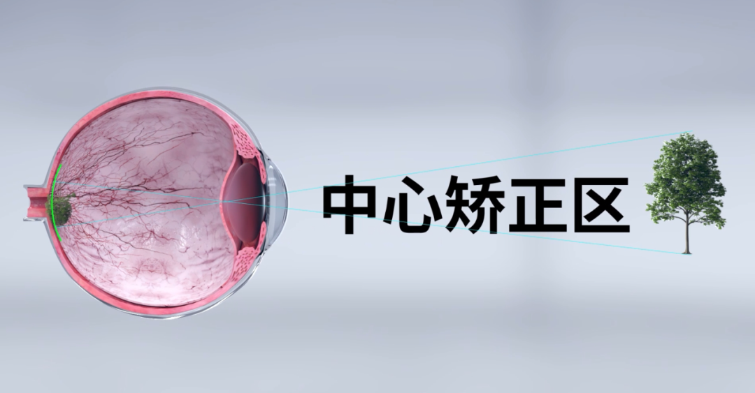 emc易倍·(中国)体育官方网站-EMC SPORTS