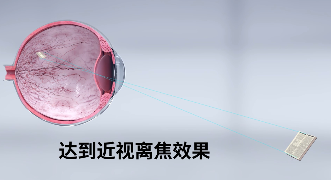 emc易倍·(中国)体育官方网站-EMC SPORTS